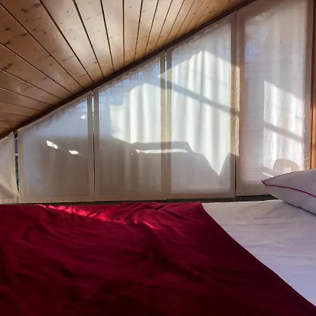Rooftop Nest *